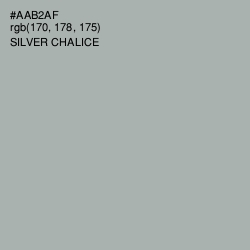 #AAB2AF - Silver Chalice Color Image